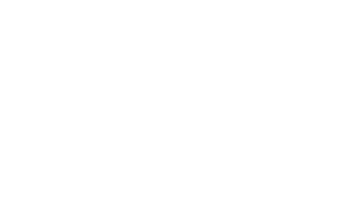 Coeur Colibri